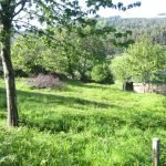 Reformas de naves  en Gamiz-Fika, [Bizkaia-Vizcaya]