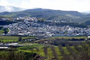 Reformas de naves  en Cuevas Bajas, Málaga