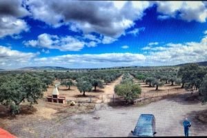 Reformas de naves  en Villanueva del Rey, Córdoba