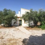 Reformas de naves  en Peñascosa (Albacete)